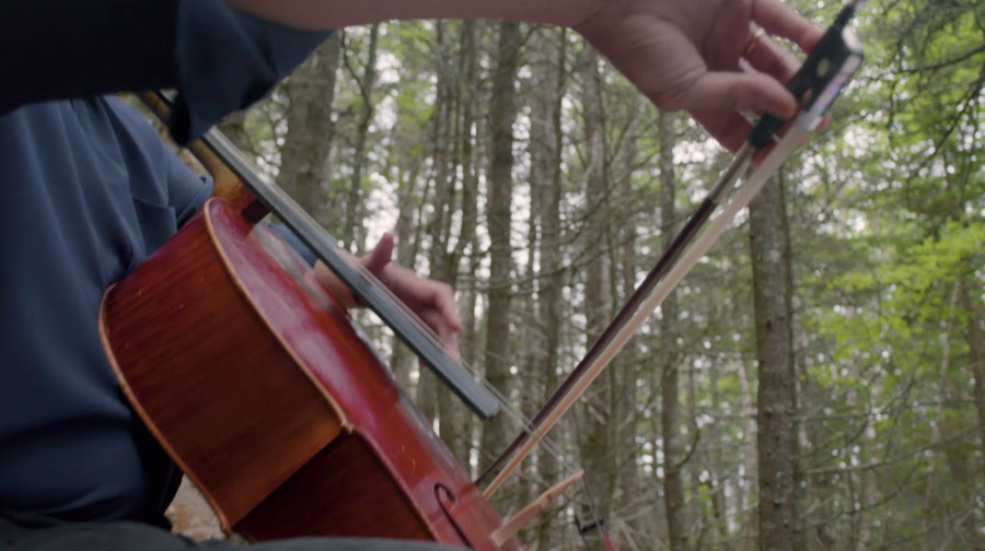 Yo-Yo Ma performs a work for cello in the woods, accompanied by a birdsong chorus
